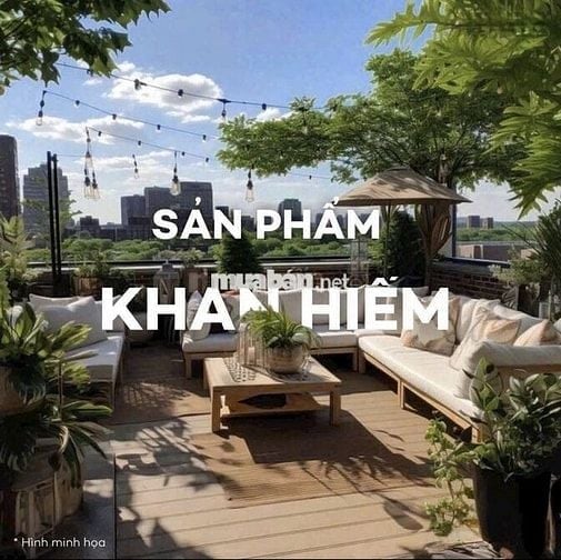 Căn sân vườn cần thanh lý nhanh 3ty490 không mặc cả