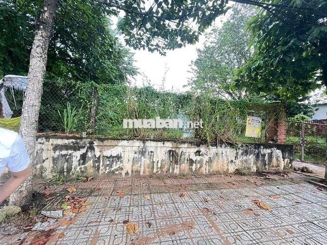 Đất An Tây mặt tiền Hùng Vương ngay đèn xanh đỏ.19,7x94 có giá tốt