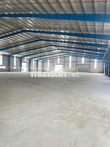 CHO THUÊ KHO MỚI 100% - TRANG BỊ PCCC - TỔNG 5500m2