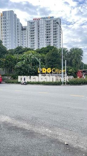 BÁN ĐẤT  – ĐƯỜNG NHỰA 5M – NGAY HIM LAM AN PHÚ ĐÔNG, DĨ AN Giá đầu tư