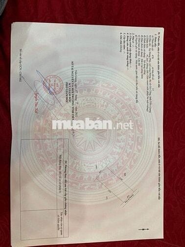 CẦN BÁN GẤP CĂN NHÀ MỚI .GẦN CÔNG TY VIỆT LONG HƯNG 790 triệu
