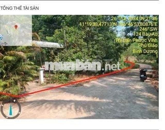 Bán ĐGTS đất tại xã Phú Giáo, TP. Hồ Chí Minh