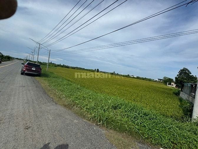 Bán 4.100 m2 đất mặt tiền TL 872B, Gò Công Tây, Tiền Giang, 5,5 tỷ TL