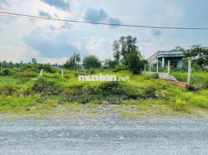 🌟 BÁN ĐẤT GIÁ RẺ – TRUNG LẬP HẠ (XÃ NHUẬN ĐỨC MỚI), CỦ CHI 🌟