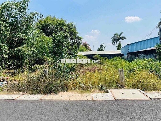 🏡 Bán đất MT đường 415 – Phước Vĩnh An, Củ Chi – 147m² thổ cư 100%