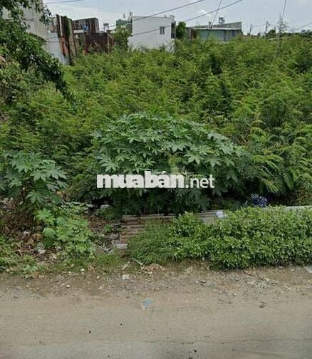 Mua là sẽ hời lô đất MT đ Sư Đoàn 9, Vĩnh Lộc A, Bình Chánh chỉ 880tr