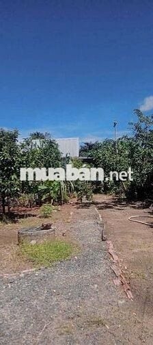 Chủ định cư nước ngoài cần bán gấp