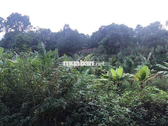 Bán 4888m Đất Mặt Tiền Kinh Doanh