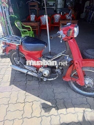 Cúp 70 giấy tờ đầy đủ