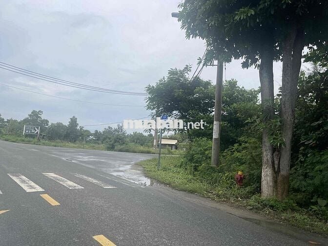 Bán đất mặt tiền Duyên Hải - Long Hoà - Cần Giờ