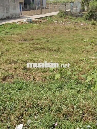 Đi mỹ định cư bán gấp đất dt 108,5m2 giá 745tr Bình Chánh