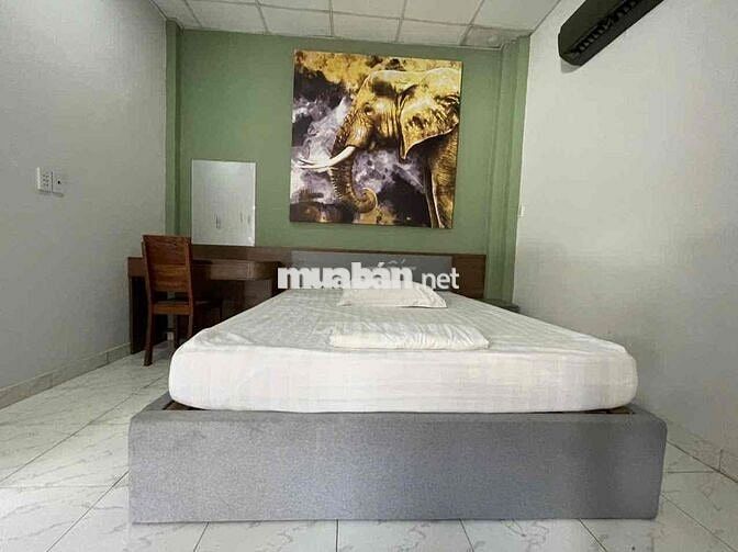 CHÍNH CHỦ CHO THUÊ NHÀ NGAY NGUYỄN CÔNG TRỨ 1Trệt 2 Lầu 40m2 CHỈ 8Tr