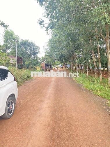 NỢ NGÂN HÀNG Chị Gái BÁN LỖ gấp lô đất điều 5000m2 giá chỉ 190tr/sao