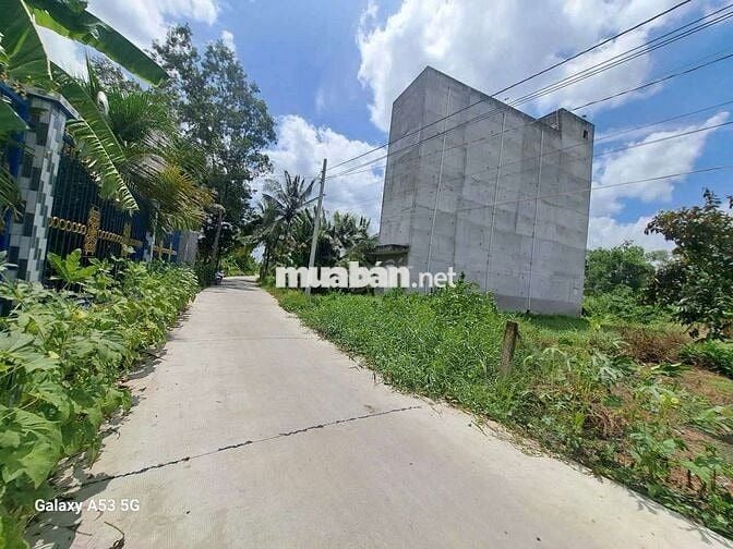 Đất thổ cư dt 1000m giá 4tỷ8 trên đất có sẵn nhà yến.Nhực chánh blức.