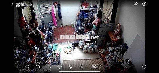 cho thuê nhà nguyên căn siêu đẹp