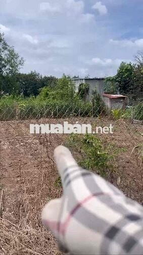 BÁC EM MUỐN BÁN LẠI MIẾNG ĐẤT TC 255m2 Ở PHÚ GIÁO BÌNH DƯƠNG