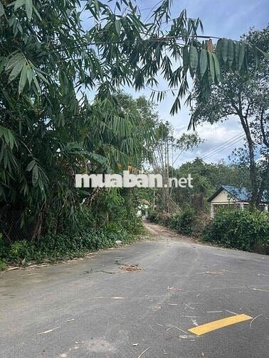 Đất thổ cư 20x20m đường ô tô Vĩnh Tân, Bình Dương