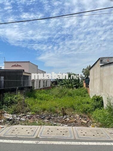 BÁN ĐẤT TÂN THẠNH ĐÔNG MT KIM CƯƠNG 10X50 THỔ CƯ SHR GIÁ CHỈ CÒN 850TR