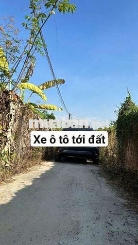 Đất sổ riêng thổ cư Phường Tân Triều