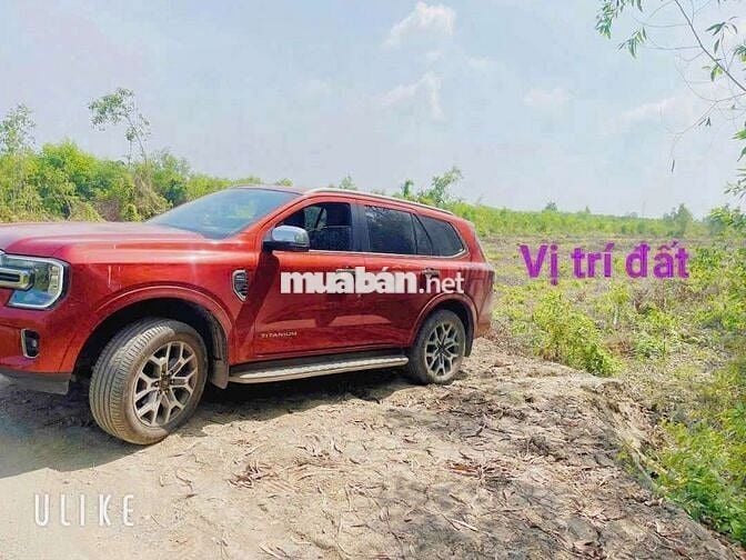 Đất vườn dt 13.190,4m giá 4tỷ420.thạnh lợi bến lức xe otô tới đất
