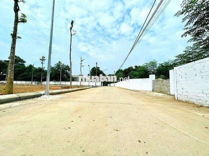 HƠN 1 TỶ 3 MUA ĐƯỢC ĐÂT HÀ NỘI LÀ CÓ THẬT NHA CÁC BÁC