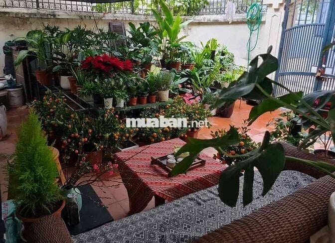 cho thuê tầng 1 + sân vườn làm quán cf, văn phòng