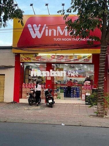 Mặt tiền Thích Quảng Đức Phú Hoà 6x28 thổ cư 150m Đag cho Thuê