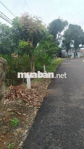 Bán Đất Mặt tiền, 720m2, Đường Nhựa Tân Thành, xã Đức Trọng, Lâm Đồng