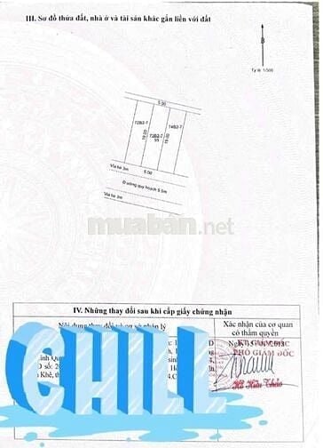 BÁN LÔ ĐẤT VÀNG – TRỤC CHÍNH AN SƠN, HÒA NINH