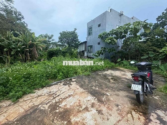 Bán đất Phong Nam - Hoà Xuân ngang 8