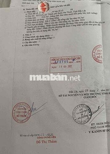 BÁN ĐẤT MẶT TIỀN NGUYỄN TRÍ PHƯƠNG NỐI DÀI – P. BUÔN MA THUỘT