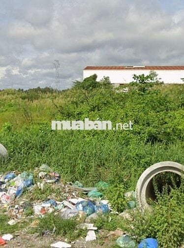 Bán đất về quê dt 116,5m2 giá 873tr Bình Chánh