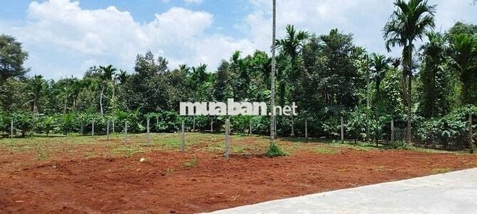 🚨CÁCH NGUYỄN XUÂN NGUYÊN 30M, EANAO B 10x20M, THỔ CƯ 60M² – GIÁ 2 TỶ 🚨