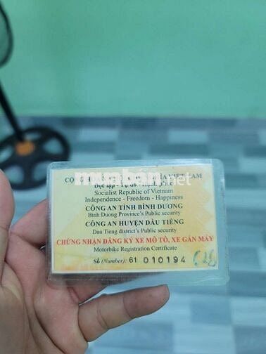 cần tiền bán em no