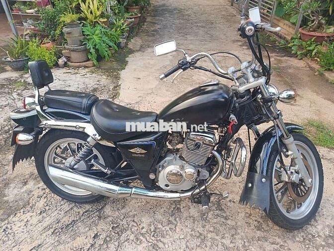 suzuki gz125cc