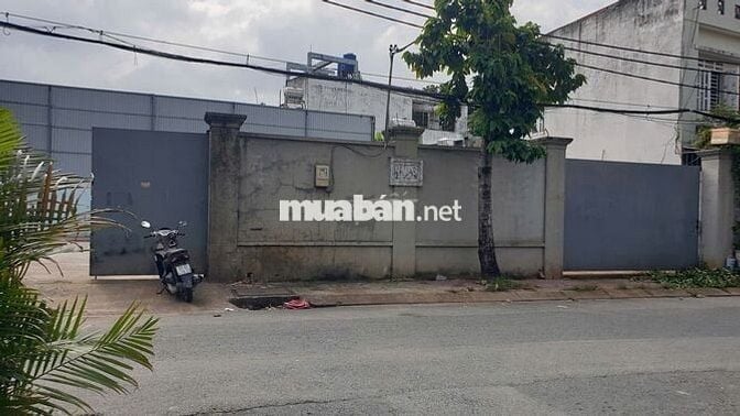Đất thổ cư 7m*14m, MT đường nhựa 12m, 1/Phan Văn Hớn, gần chợ Bà Điểm