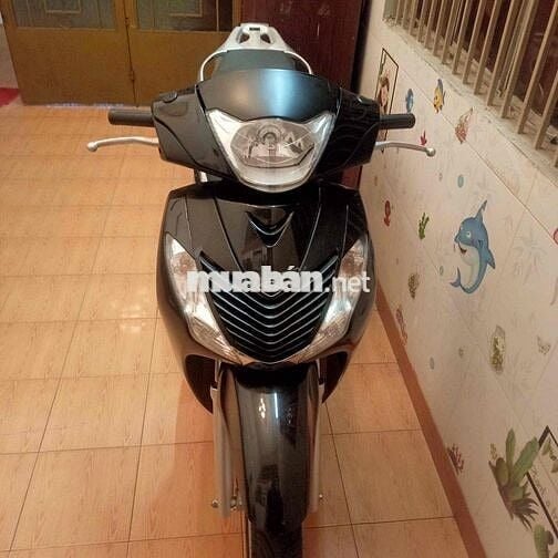 Sh 150 Nhap Y
