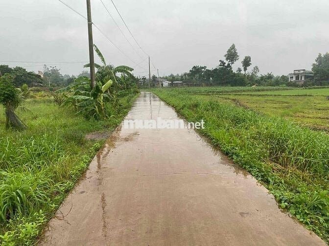 Đất xã Sông Ray, Đồng Nai diện tích hơn 4 xào cần bán