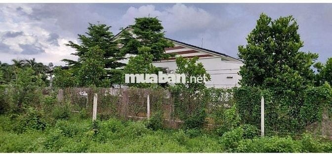 🌟 ĐẤT VÀNG GIÁ TỐT NGAY TRẢNG BÀNG, TÂY NINH – CHỈ 3,1 TRIỆU/m² 🌟