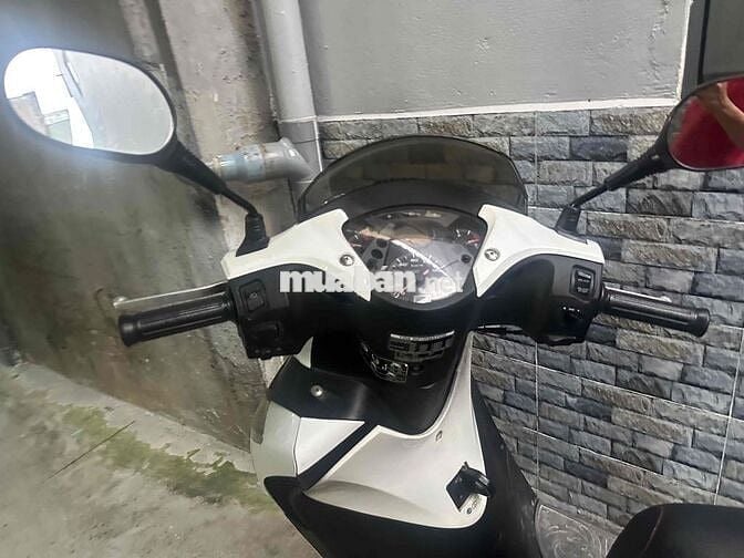 SHVN 125 úp dàn giáo SH ý