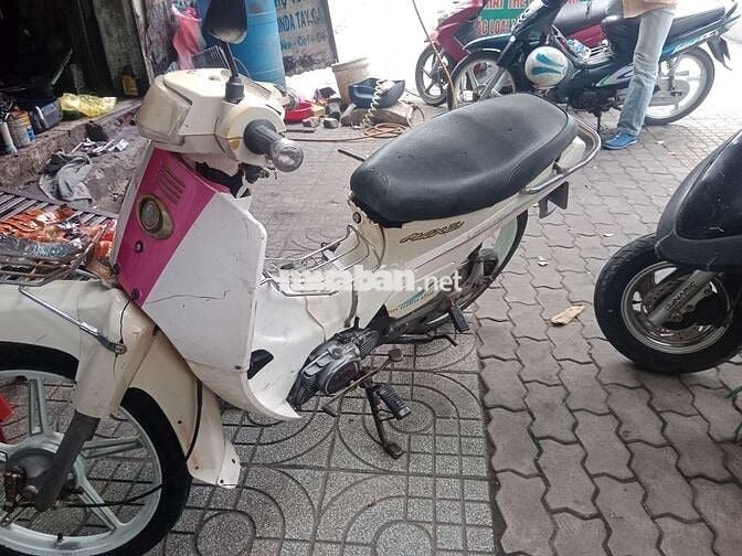 Max 50 khôg cần bằng lái