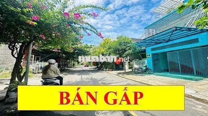 🔥 BÁN ĐẤT MT  ĐÀO CÔNG SOẠN | TRỤC THÔNG BIỂN