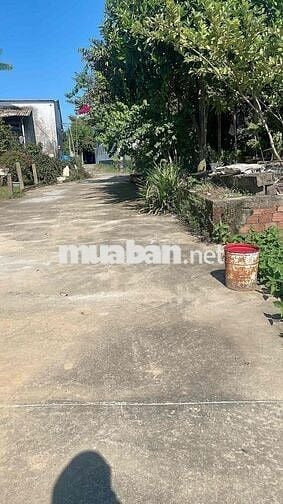 Hoà Tiến bê tông. 5m sát đường nhựa