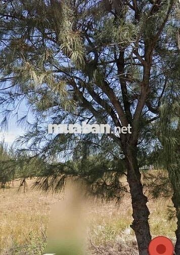 Đất đẹp sát biển Đ.Thạnh Thới , Long Hoà , Cần giờ , SHR , Full Thổ
