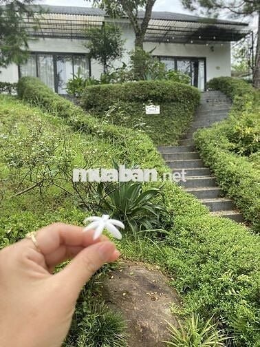 Cần bán đất tặng villas Tại Yên Bài, Ba Vì, Hà Nội
