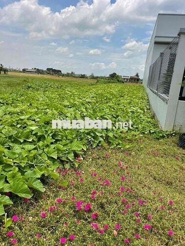 ĐẤT THỔ MẶT TIỀN TỈNH LỘ 833B, CÁCH TPHCM 30km,SÁT VÀNH ĐAI 4