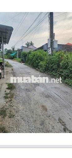 Bán Lô Đất Thổ Cư Xã Tăng Hoà huyện Gò Công Đông Tỉnh Tiền Giang