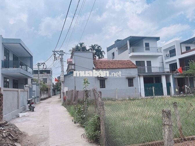 HƠN 3 TỶ_ 60M2 SDCC ĐẤT ĐẤU GIÁ VẠN 3-THANH TRÌ. CC cần tiền hạ sốc 30