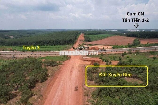 VIP cách ngã tư Xuyên Tâm - Tuyến 3 chỉ 300m. 598m2 thương lượng mạnh
