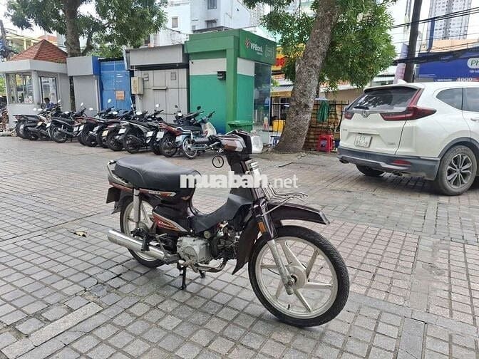 Xe dream Hàn Quốc